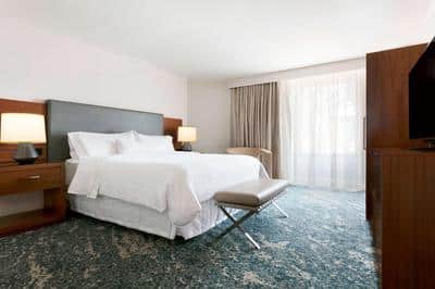 King Executive Suite