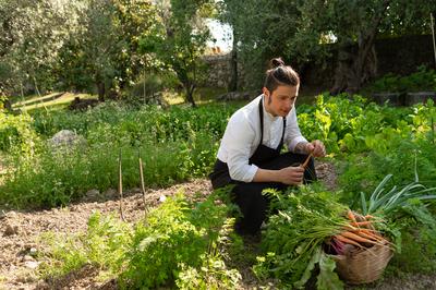 Vegetable Garden