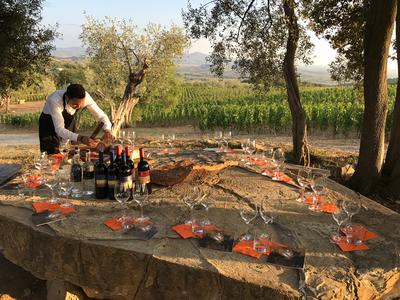 Wine Tasting