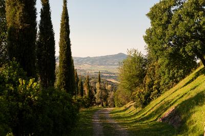 Local Area