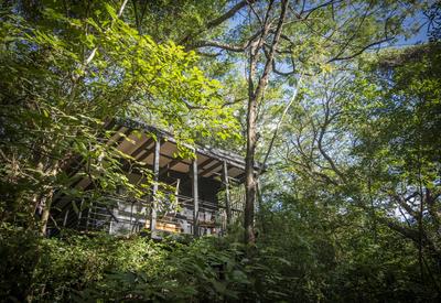 East Bungalow