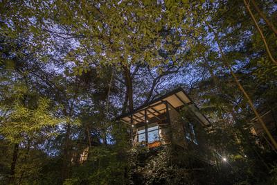 East Bungalow
