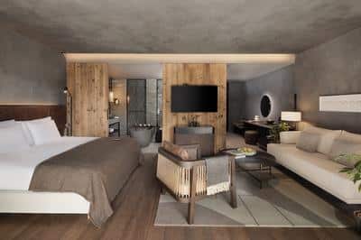 Deluxe Terrace Room