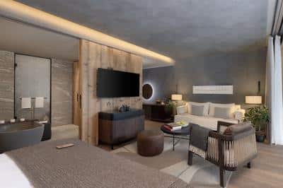 Deluxe Terrace Room