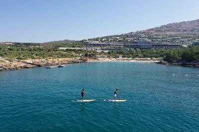Paddle Boards
