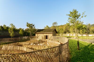 Farm & Organic Garden