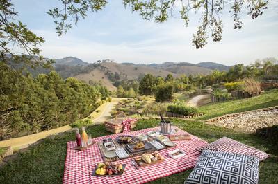 Picnic