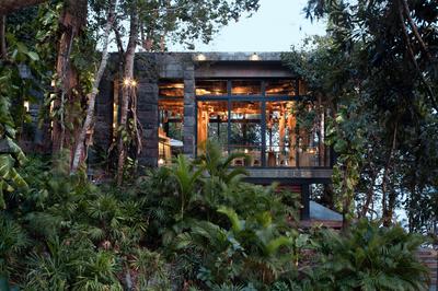 Tree Restaurant