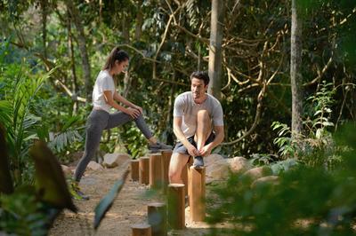 Outdoor Jungle Gym
