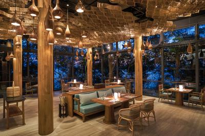 Tree Restaurant