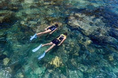 Snorkeling