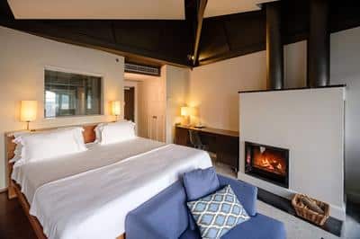 A Windowed Shower, a Fireplace and the View.