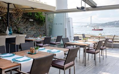 Waterfront Terrace Landscape