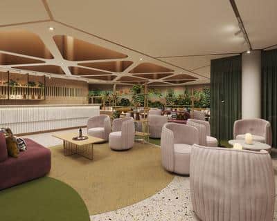 Derba Matcha Café