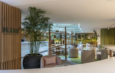 Derba Matcha Café