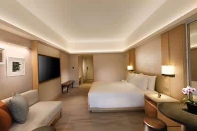 Premium Suite