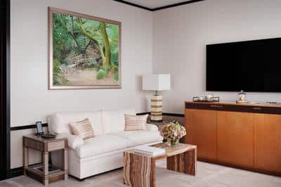 Grand Premier Park Room