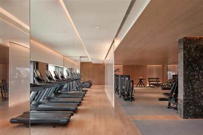 Health club  fitness center  gym