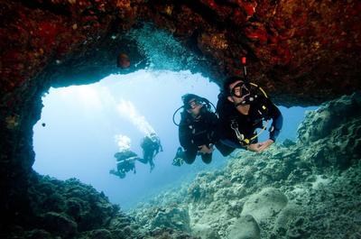 Experience - Diving