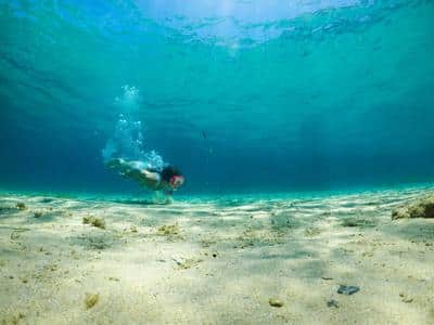 Experience - Snorkeling