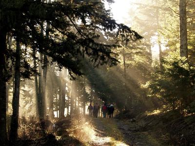 Experience - Hiking