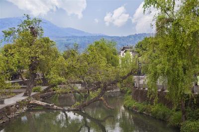 Dest heiyuhe