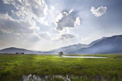 Dest Tengchong marshlands
