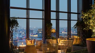45th Floor Terrace