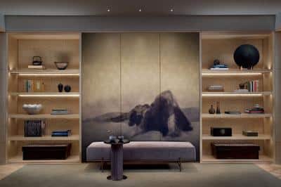 Ritz Carlton Suite Welcome Library