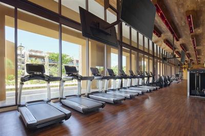 Gimnasio Xcaret Arte
