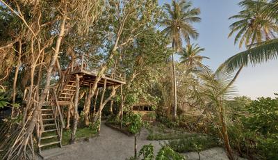 Chef’s Garden Treehouse