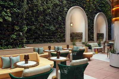 W Lounge Garden