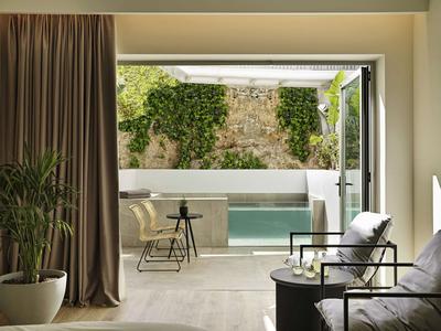 Junior Suite Relax Plunge Pool