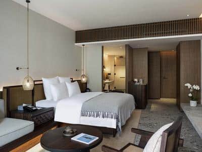 Deluxe Room, 1 King Size Bed, Terrace Access