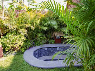 Deluxe Room, One King-size Bed, Private Balcony, and Garden Pool