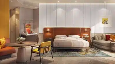 Andaz Deluxe Suite