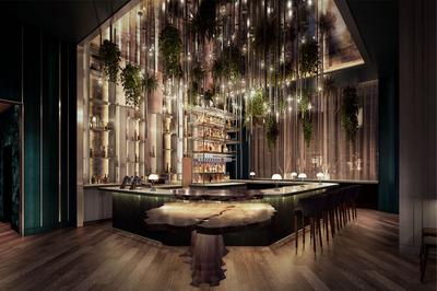 The Cocktail Lounge & Bar  - The Mystical Forest