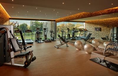 Leeu Spa by Healing Earth - Gym