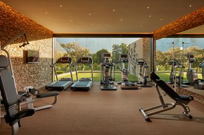 Leeu Spa by Healing Earth - Gym