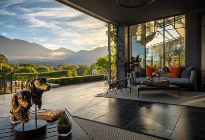 Manor House - Terrace