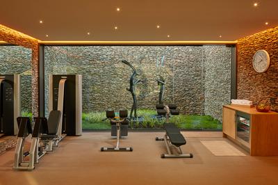 Leeu Spa by Healing Earth - Gym