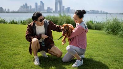 Pet Friendly