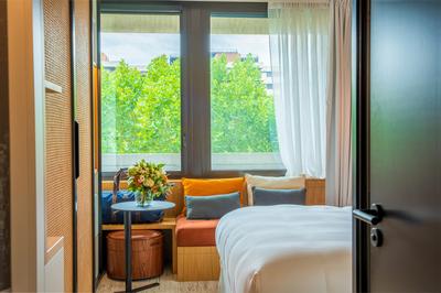 1 King Bed Park View
