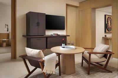 Premier Suite Partial Ocean View with Plunge Pool and Patio