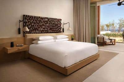 1 King Bed Partial Ocean View with Terrace
