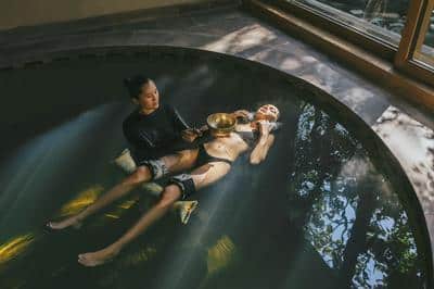 Wellness Programme
