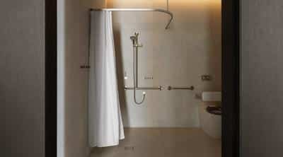 Premier King Accessible Room