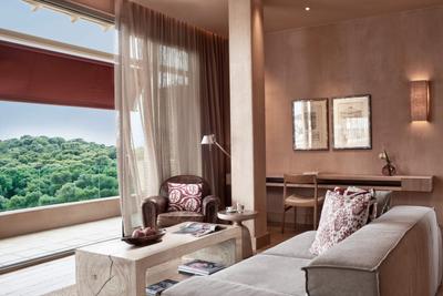Premium Suite