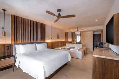 Standard, 1 King Bed