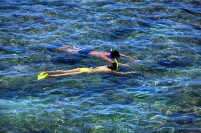 Snorkelling